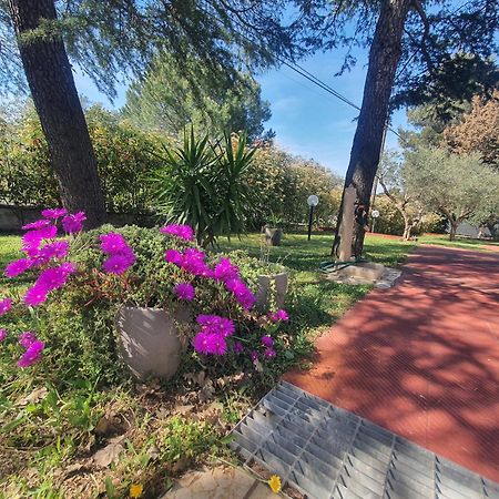 Mercadante - Luxury Holiday House Cassano delle Murge Zewnętrze zdjęcie