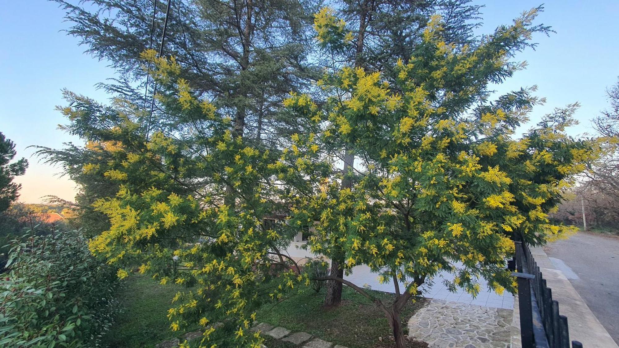 Mercadante - Luxury Holiday House Cassano delle Murge Zewnętrze zdjęcie