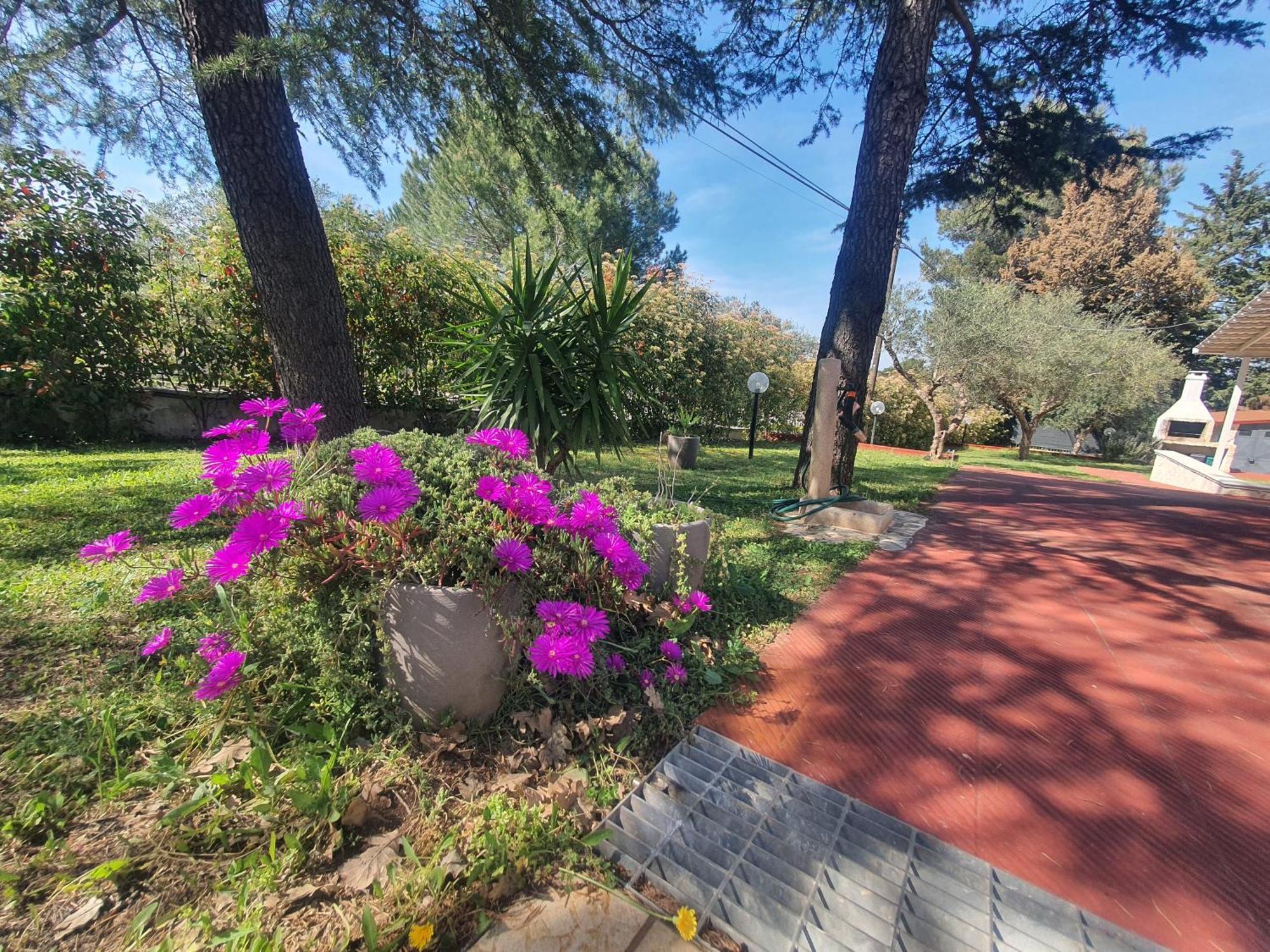 Mercadante - Luxury Holiday House Cassano delle Murge Zewnętrze zdjęcie